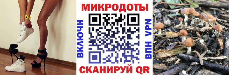 Галлюциногенные грибы ЛСД  гидра   Камызяк 
