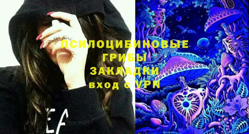 mega онион  Камызяк  Галлюциногенные грибы MAGIC MUSHROOMS 