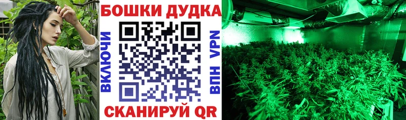 Канабис VHQ  Камызяк 